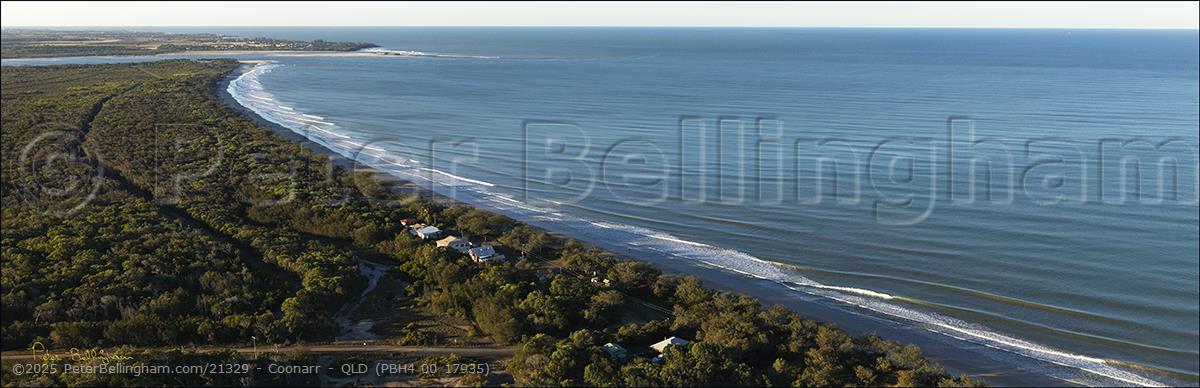 Peter Bellingham Photography Coonarr - QLD (PBH4 00 17935)